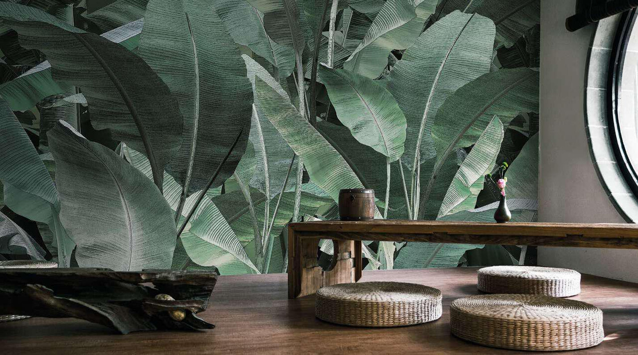 jungle - thai banano 泰國香蕉