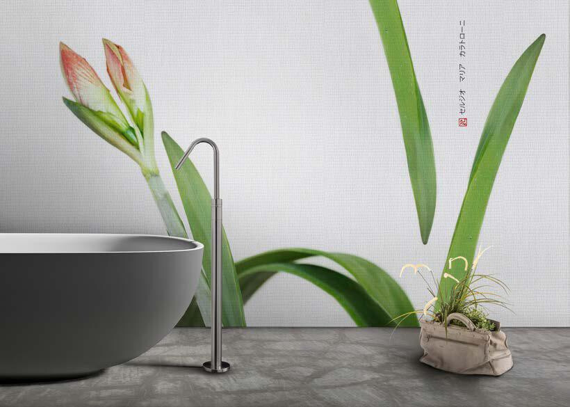 水仙花 daffodil