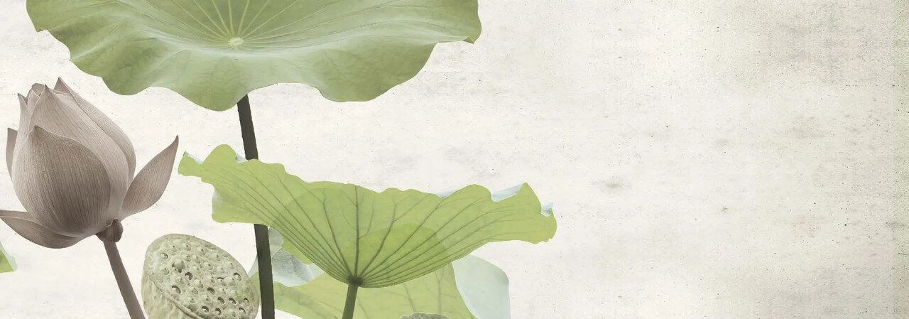  textile - white lotus 白蓮花