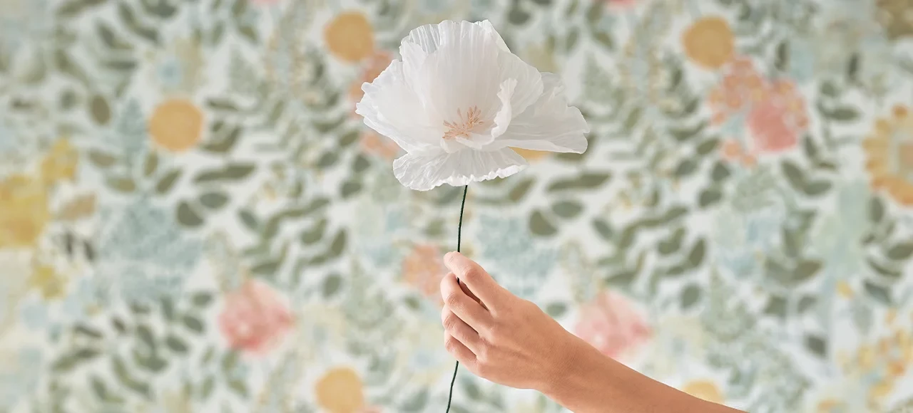 花卉能量